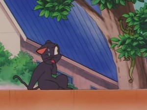 screenshot-anime-sailor-moon-sailor-stars-episode-178-113.JPG
