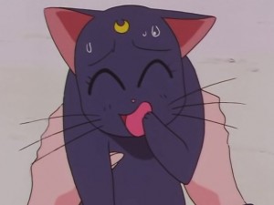 screenshot-anime-sailor-moon-sailor-stars-episode-178-133.JPG
