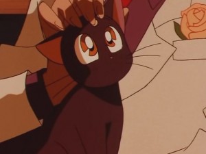 screenshot-anime-sailor-moon-sailor-stars-episode-178-222.JPG