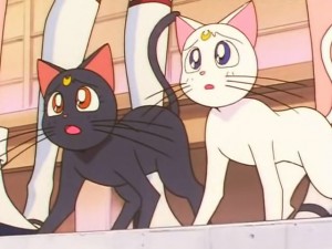 screenshot-anime-sailor-moon-sailor-stars-episode-190-130.jpg
