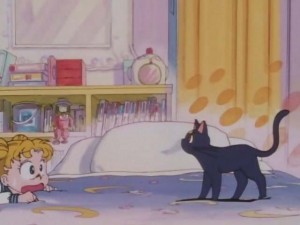 SailorMoon-s1-001(284).jpg