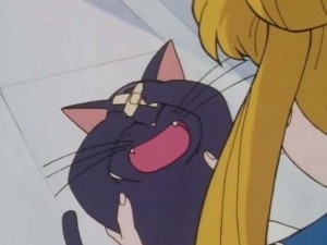 SailorMoon-s1-001(35).jpg