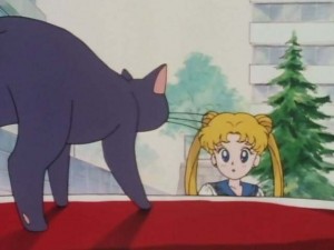 SailorMoon-s1-001(48).jpg