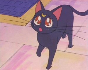 SailorMoon-s1-002(237).JPG