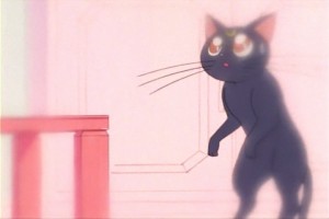 SailorMoon-s1-007(190).jpg