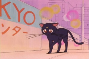 SailorMoon-s1-007(220).jpg