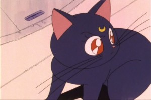 SailorMoon-s1-007(227).jpg