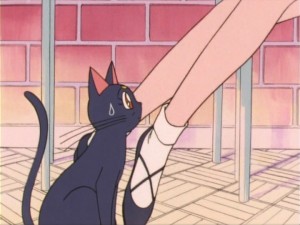 SailorMoon-s1-012(137).jpg
