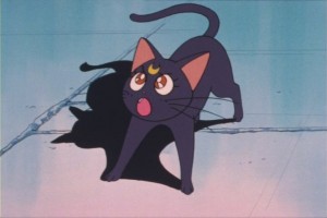 SailorMoon-s1-013(364).JPG
