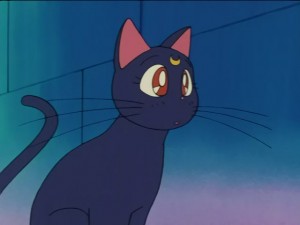 SailorMoon-s1-028(321).JPG
