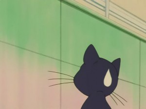 SailorMoon-s1-031(26).JPG