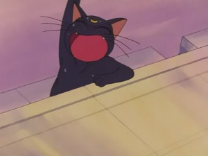 SailorMoon-s1-031(465).JPG