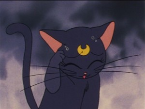SailorMoon-s1-033(201).JPG