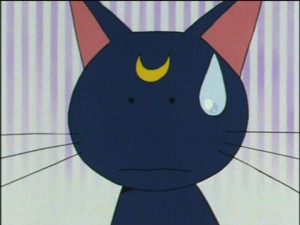 SailorMoon-s1-036(477).jpg