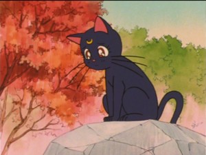 SailorMoon-s1-036(51).jpg
