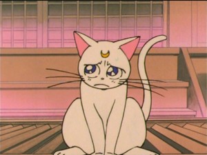SailorMoon-s1-037(181).jpg