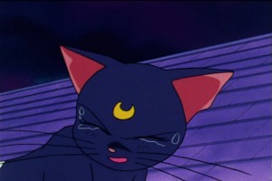 SailorMoon-s1-046(304).jpg