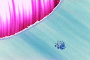 SailorMoon-s1-046(401).jpg
