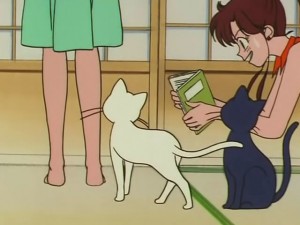screenshot-anime-sailor-moon-s-episode-100-174.jpg