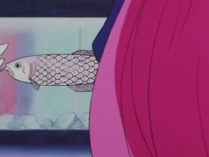 screenshot-anime-sailor-moon-sailor-stars-episode-178-490.JPG