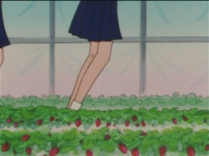 screenshot-anime-sailor-moon-sailor-stars-episode-179-077.JPG