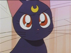 screenshot-anime-sailor-moon-sailor-stars-episode-184-045.JPG