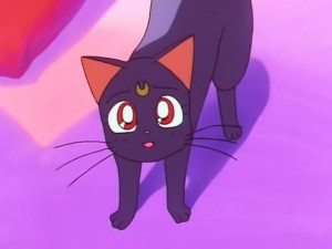 screenshot-anime-sailor-moon-sailor-stars-episode-190-161.jpg