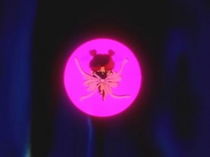 screenshot-anime-sailor-moon-sailor-stars-episode-195-456.jpg