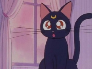 SailorMoon-s1-001(287).jpg