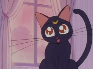SailorMoon-s1-001(288).jpg