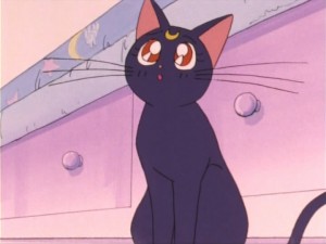 SailorMoon-s1-007(72).jpg