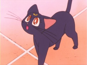 SailorMoon-s1-011(158).jpg