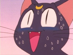 SailorMoon-s1-011(381).jpg