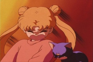 SailorMoon-s1-013(115).JPG