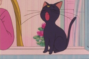 SailorMoon-s1-013(87).JPG