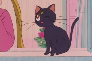 SailorMoon-s1-013(89).JPG