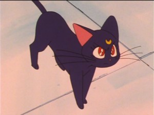 SailorMoon-s1-023(445).jpg