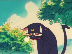 SailorMoon-s1-023(65).jpg