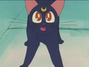 SailorMoon-s1-027(202).JPG