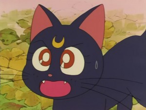 SailorMoon-s1-030(237).JPG