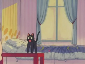 SailorMoon-s1-030(300).JPG