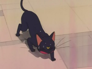 SailorMoon-s1-031(201).JPG