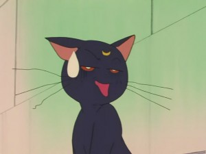 SailorMoon-s1-031(49).JPG