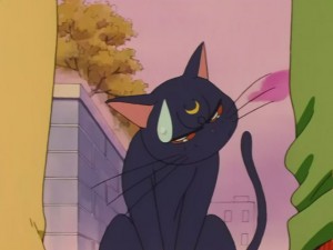 SailorMoon-s1-031(600).JPG