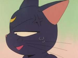 SailorMoon-s1-031(68).JPG
