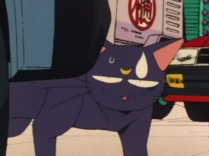 SailorMoon-s1-031(82).JPG