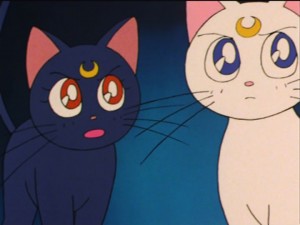 SailorMoon-s1-035(272).jpg