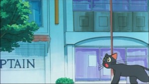 Sailormoon-R (856).jpg