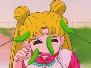 screenshot-anime-sailor-moon-s-episode-091-524.jpg