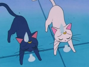 screenshot-anime-sailor-moon-s-episode-093-444.jpg